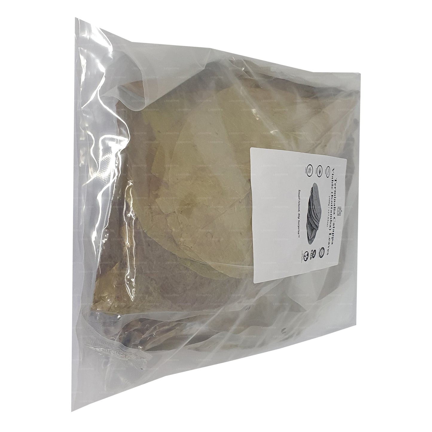Lakpura 脱水（Kottan、Kottamba、印度杏仁）Terminalia catappa 100 片叶子（100 克）