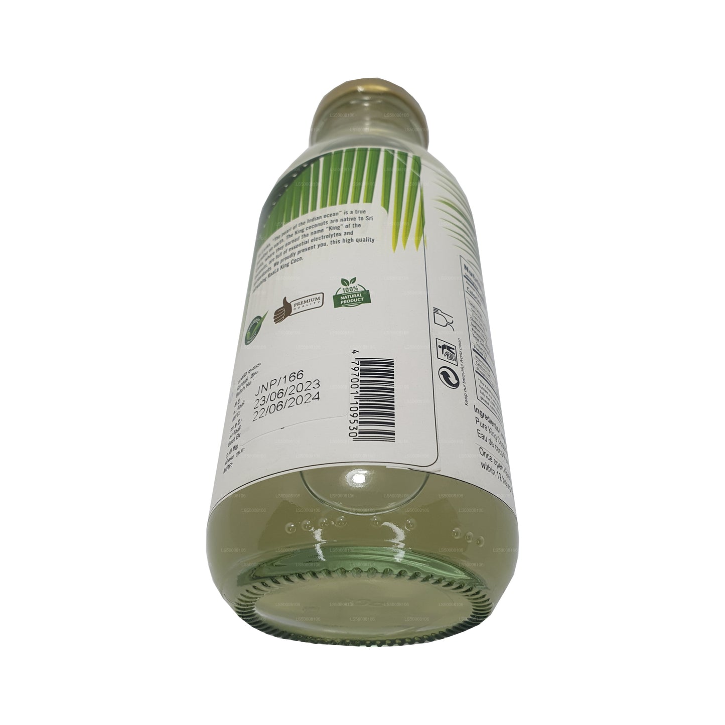 Raala King Coconut Water (370ml)