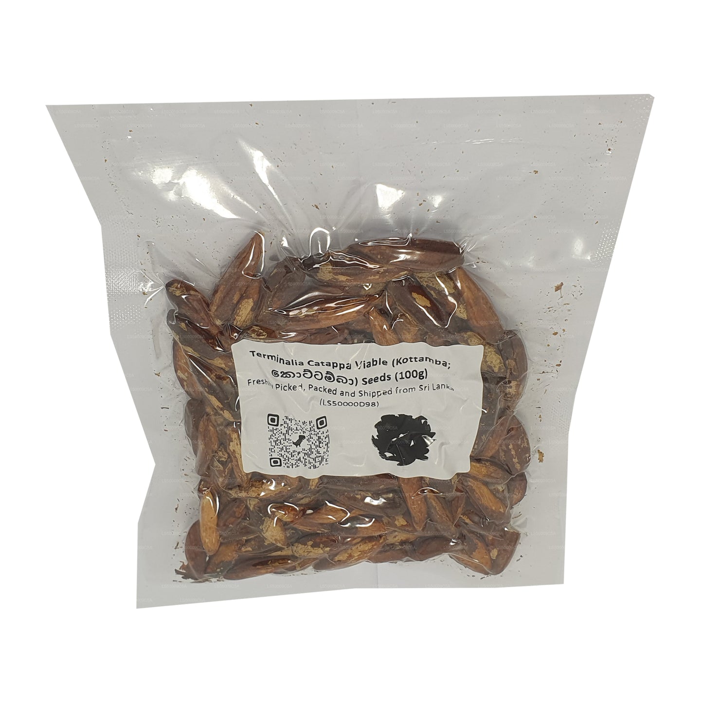 Lakpura® 榄仁树（Kottamba）种子