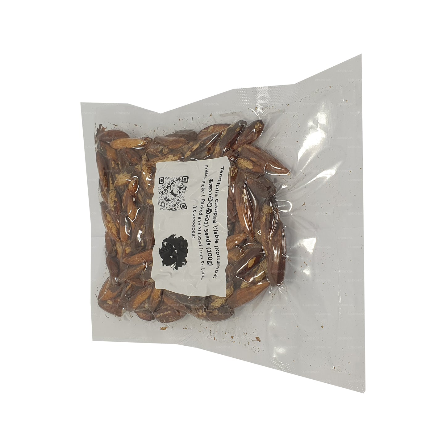 Lakpura® 榄仁树（Kottamba）种子