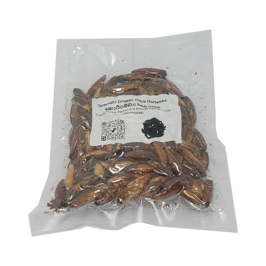 Lakpura® 榄仁树（Kottamba）种子