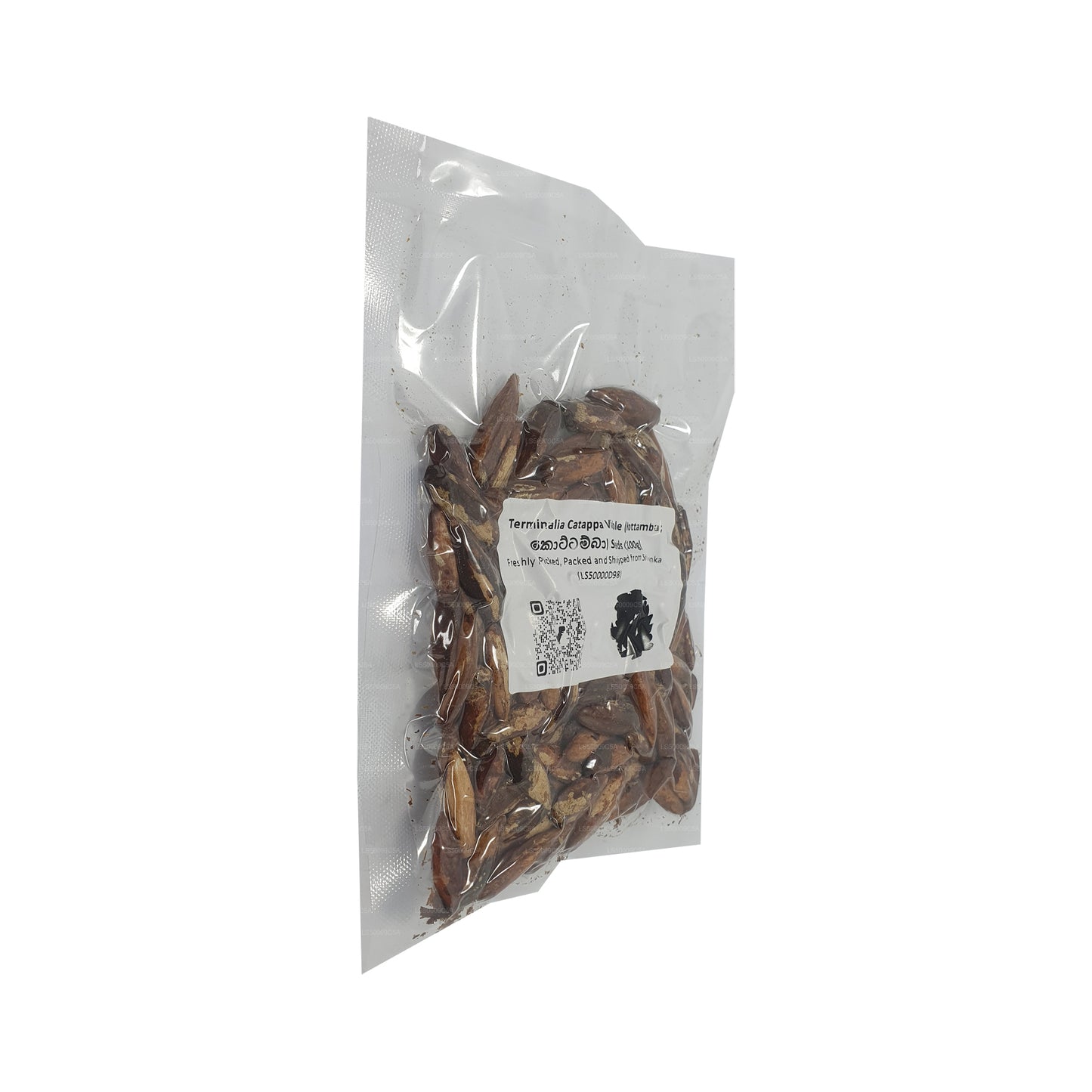 Lakpura® 榄仁树（Kottamba）种子