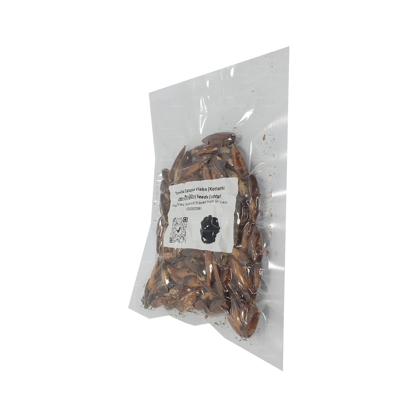 Lakpura® 榄仁树（Kottamba）种子
