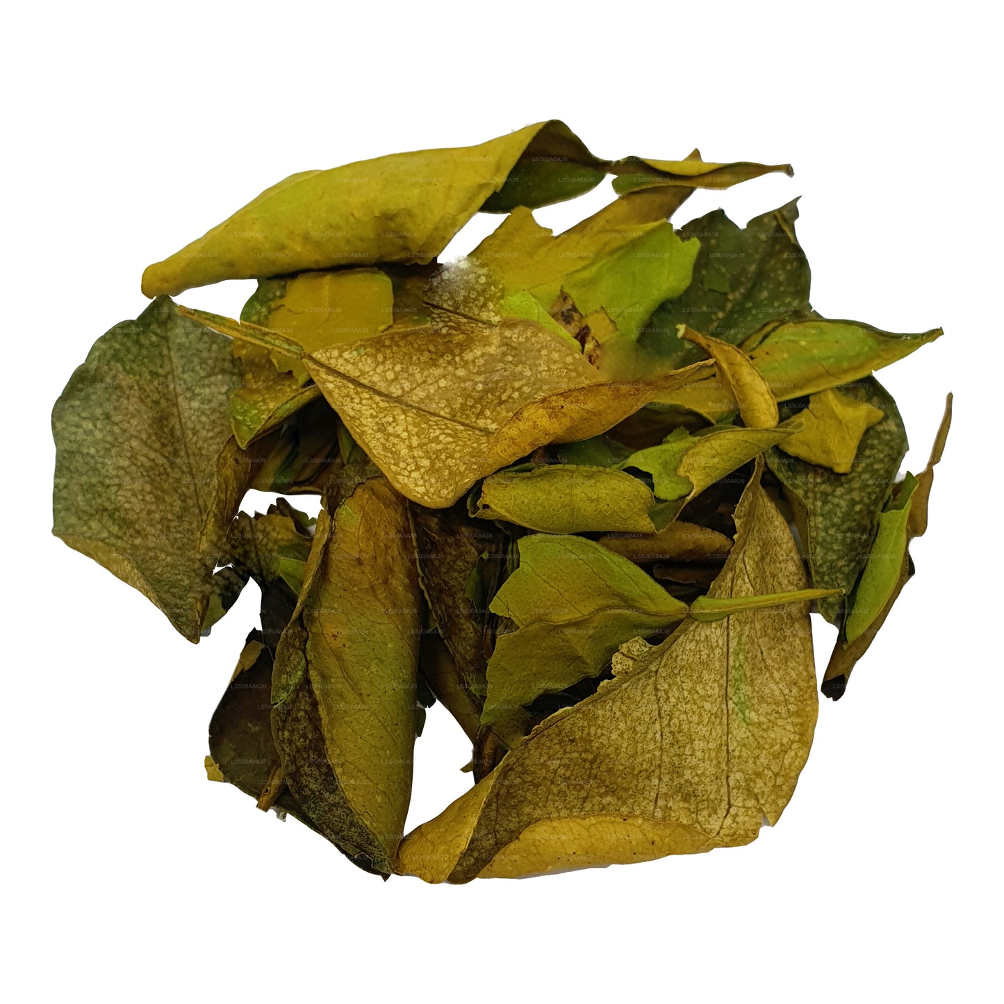 Lakpura 脱水 Yaki Naran（Atalantia Ceylanica）叶子（100 克）