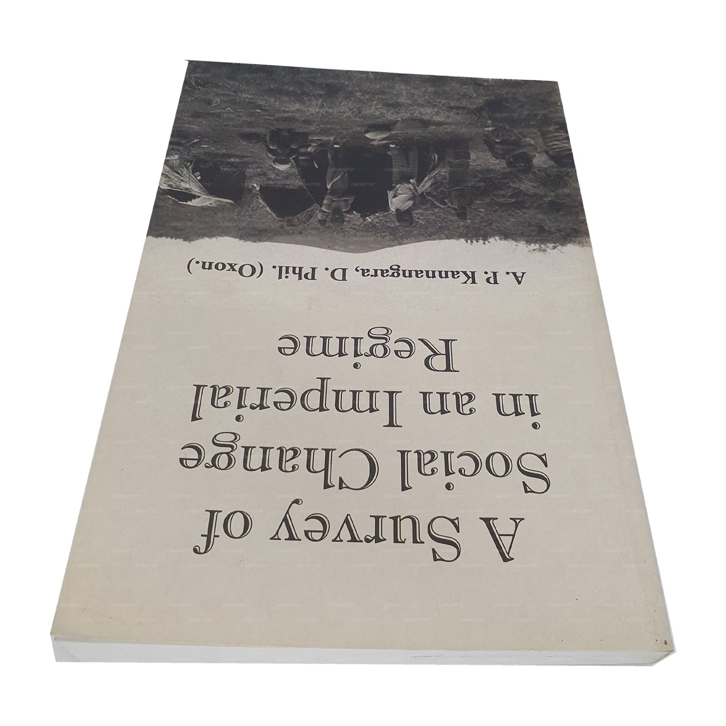 帝国政权社会变革概览
