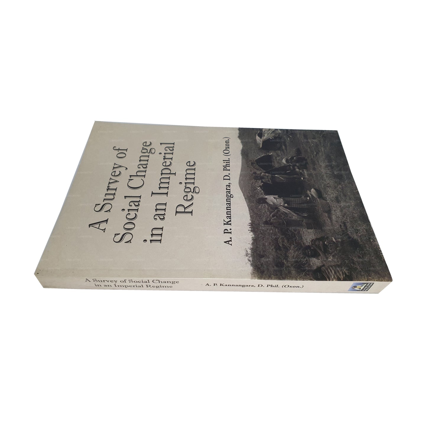 帝国政权社会变革概览