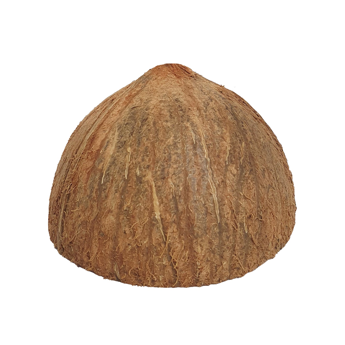 Lakpura® 椰子壳半片