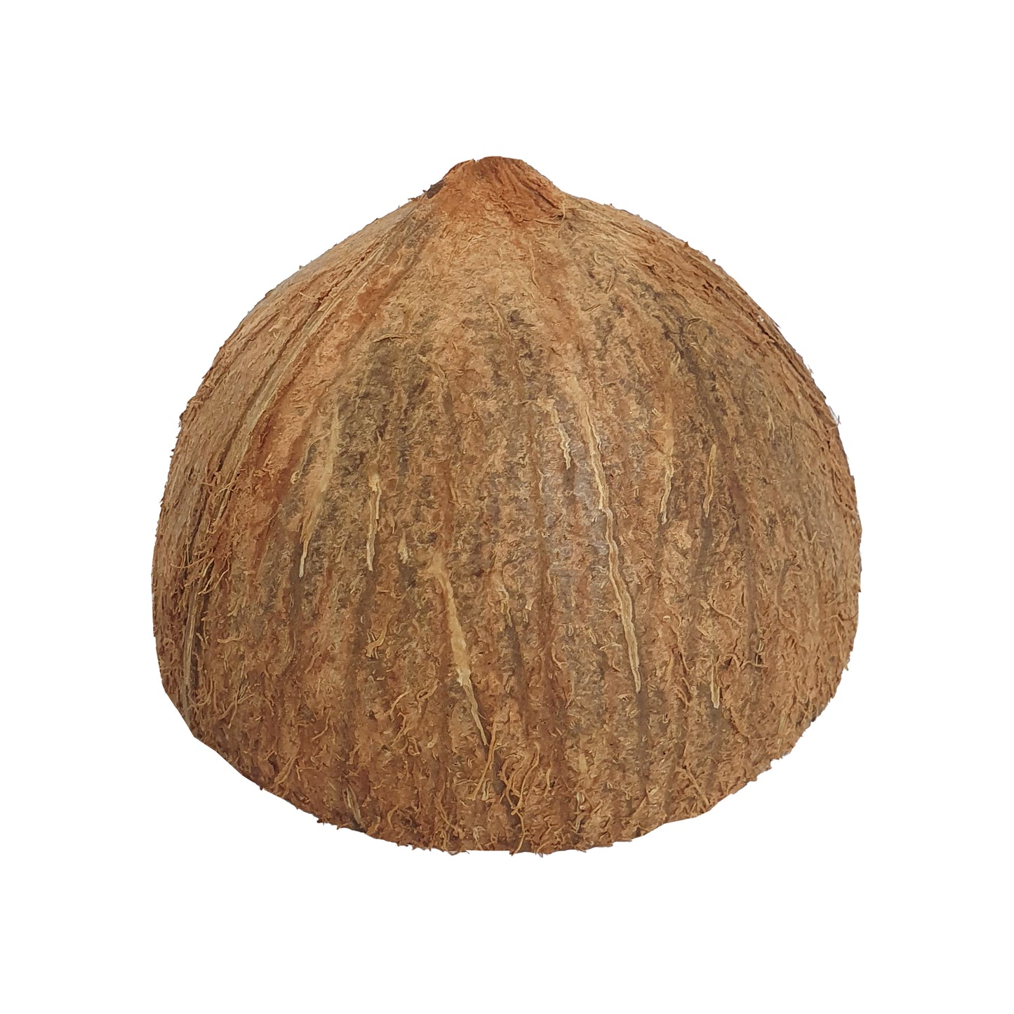 Lakpura® 椰子壳半片