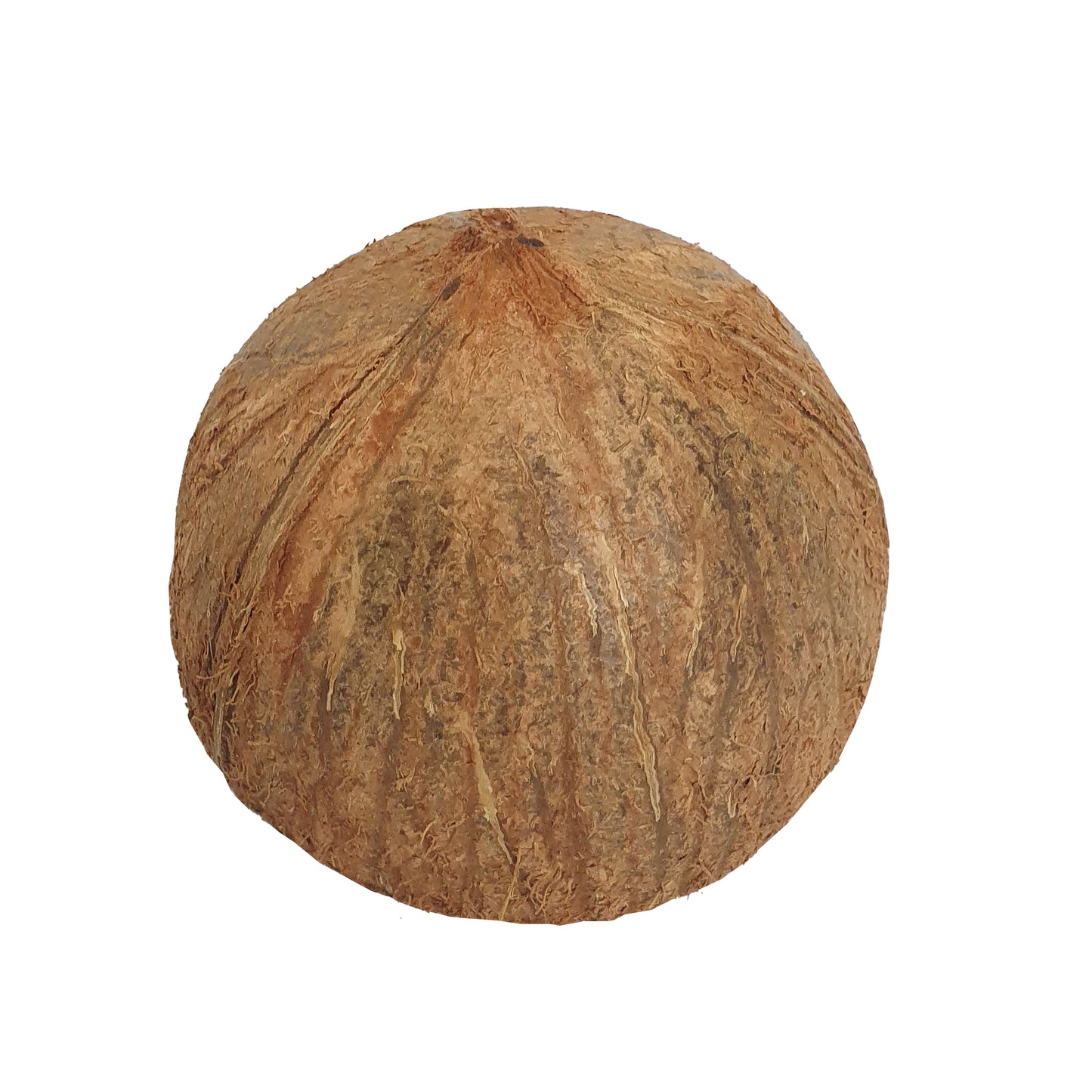 Lakpura® 椰子壳半片