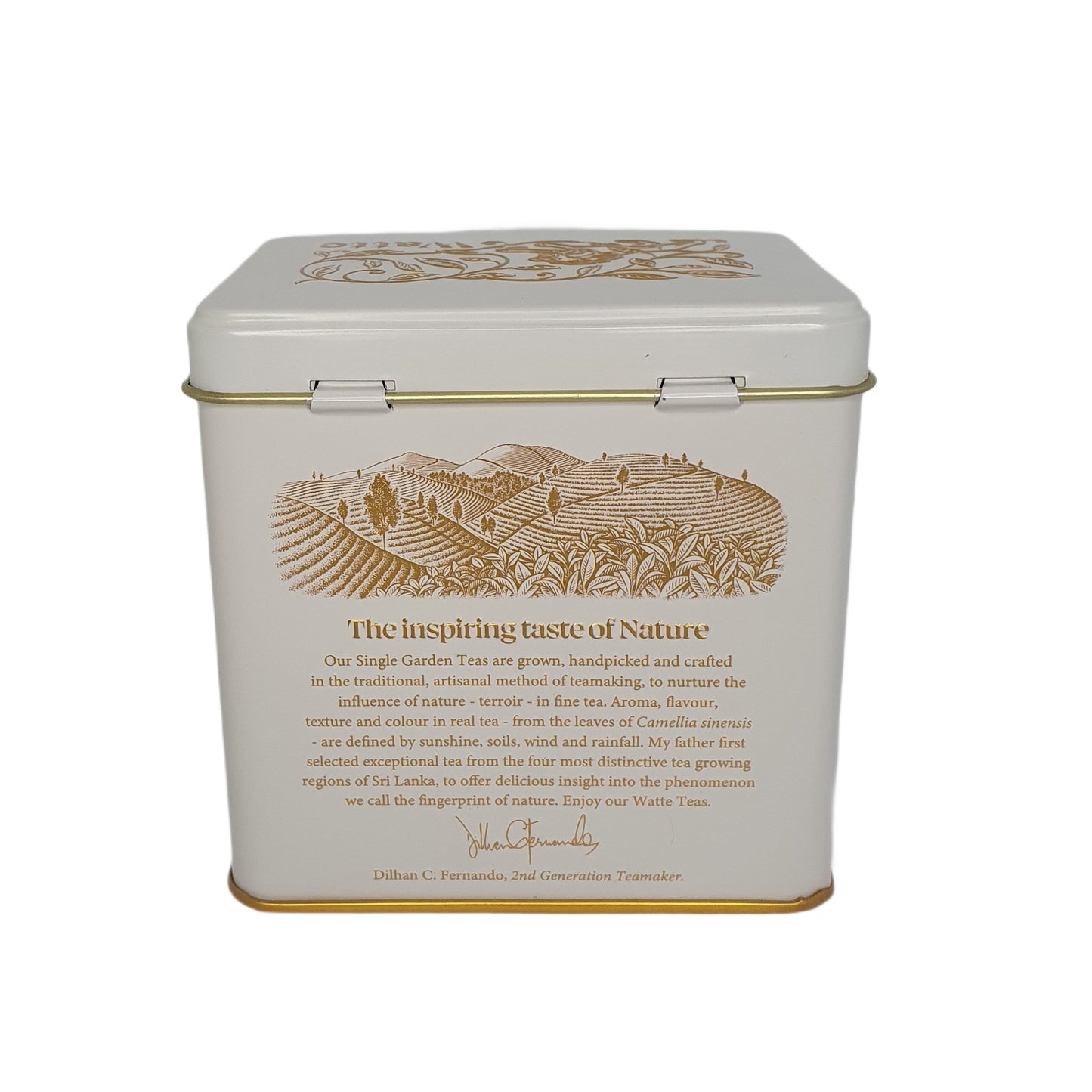 Dilmah Meda Watte 散叶茶 (125 克)