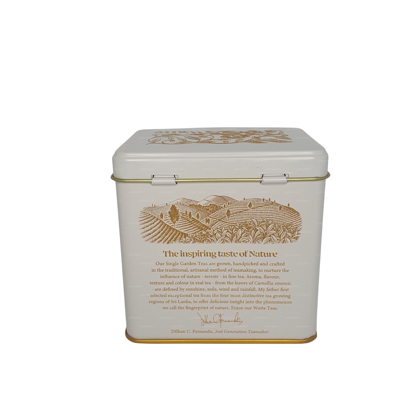 Dilmah Meda Watte 散叶茶 (125 克)