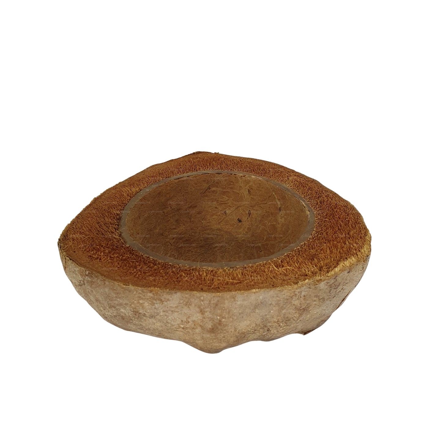 Bivenro 天然椰子种植盆设计（自由尺寸）