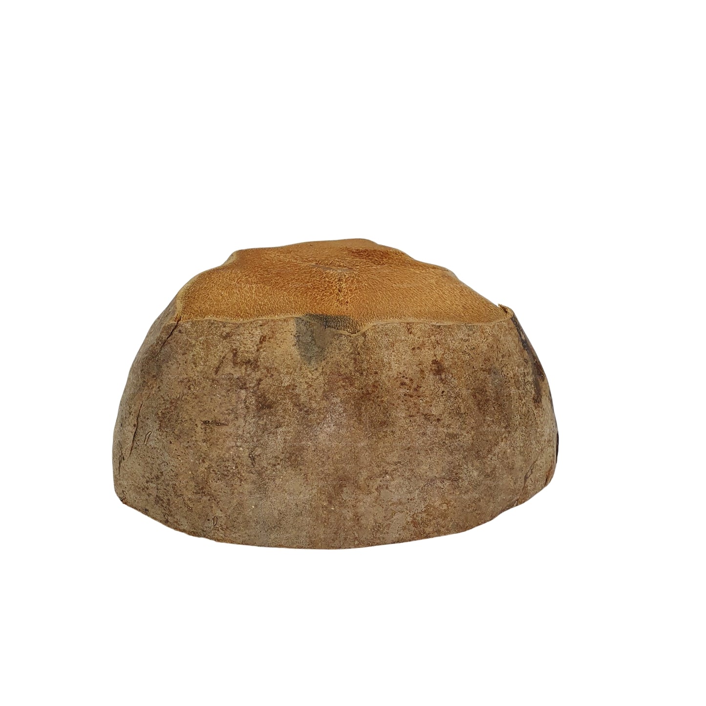 Bivenro 天然椰子种植盆设计（自由尺寸）