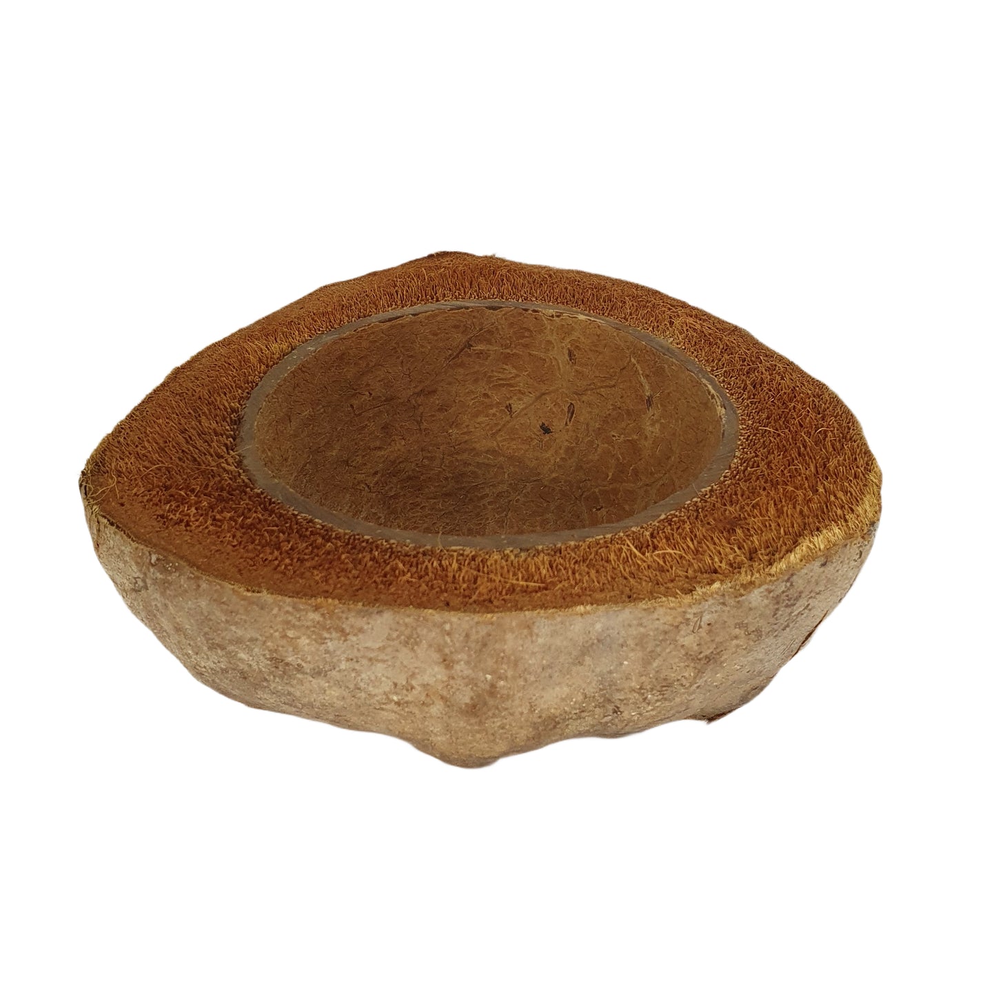 Bivenro 天然椰子种植盆设计（自由尺寸）