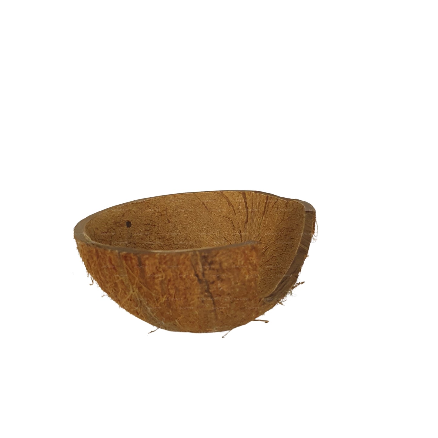 Bivenro Natural 1/2 椰壳洞穴（均码）