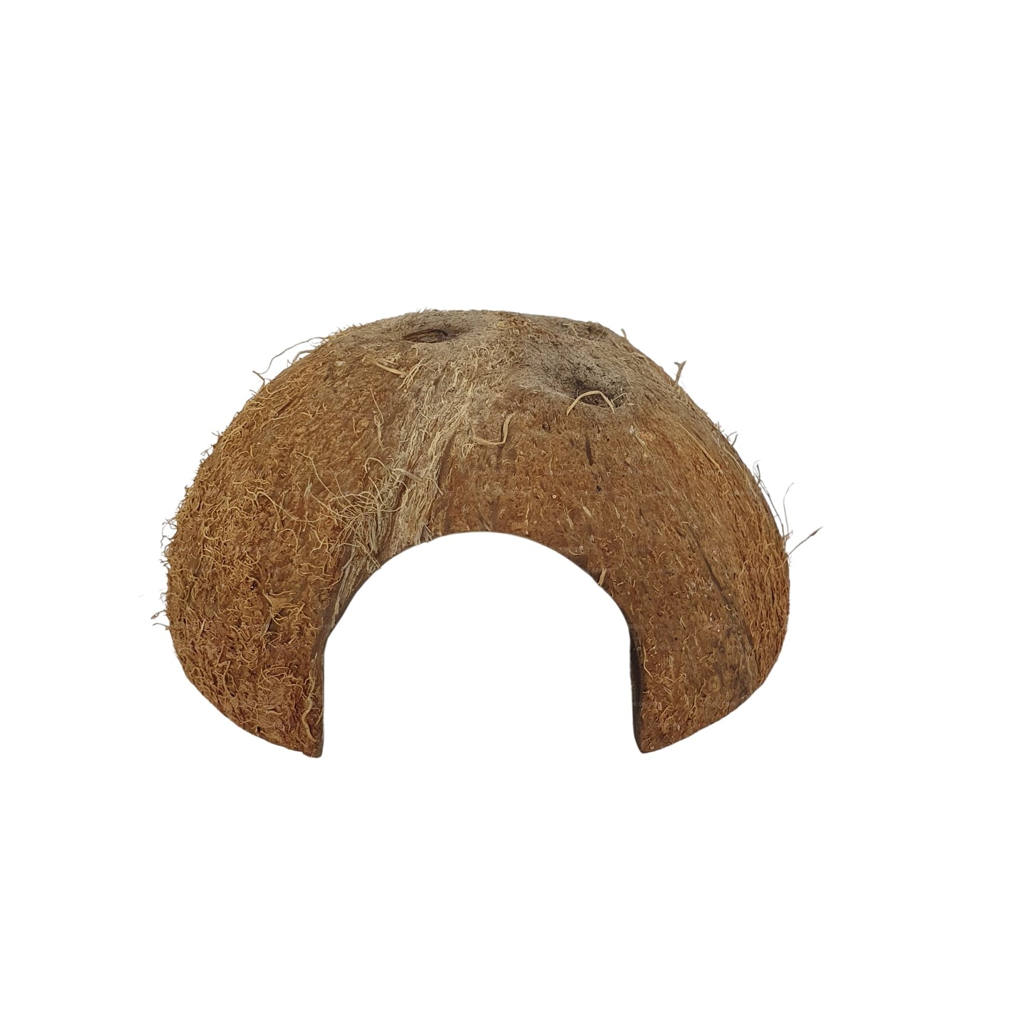 Bivenro Natural 1/2 椰壳洞穴（均码）