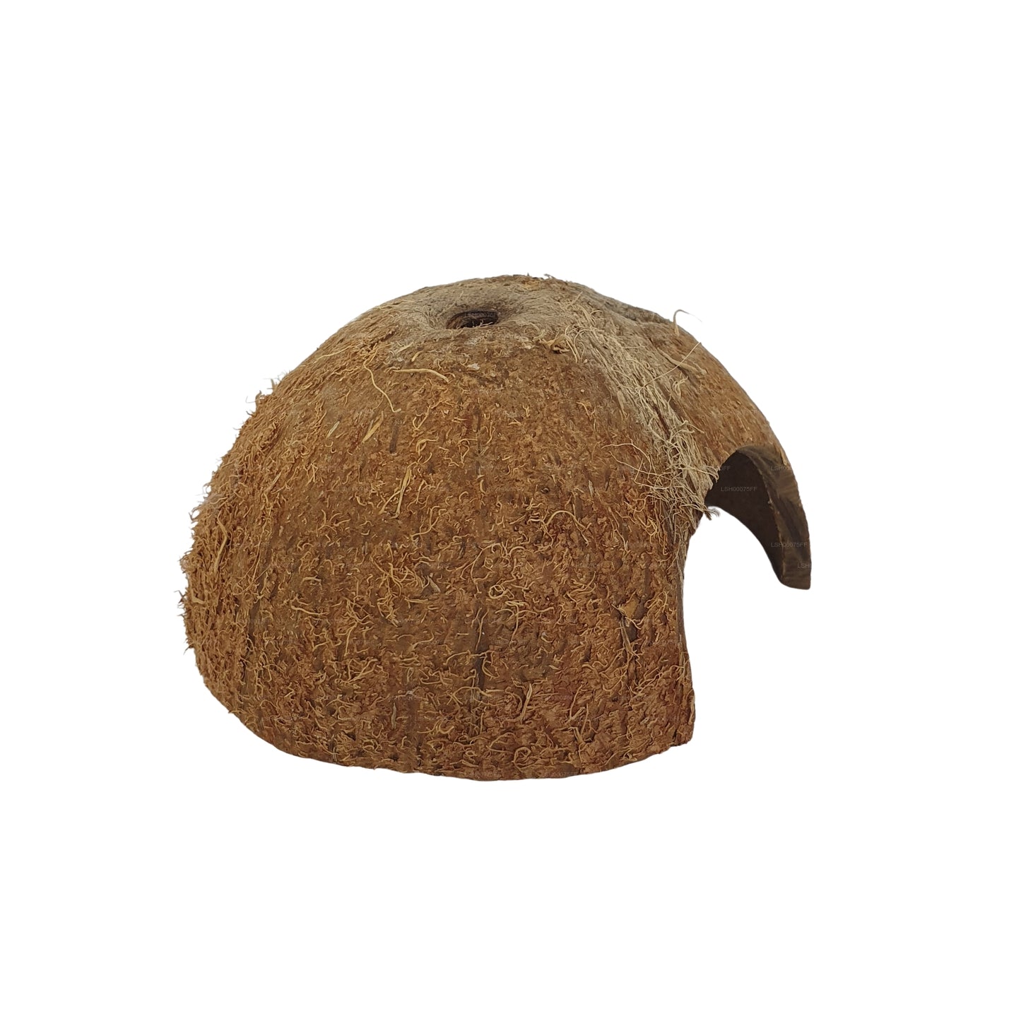 Bivenro Natural 1/2 椰壳洞穴（均码）