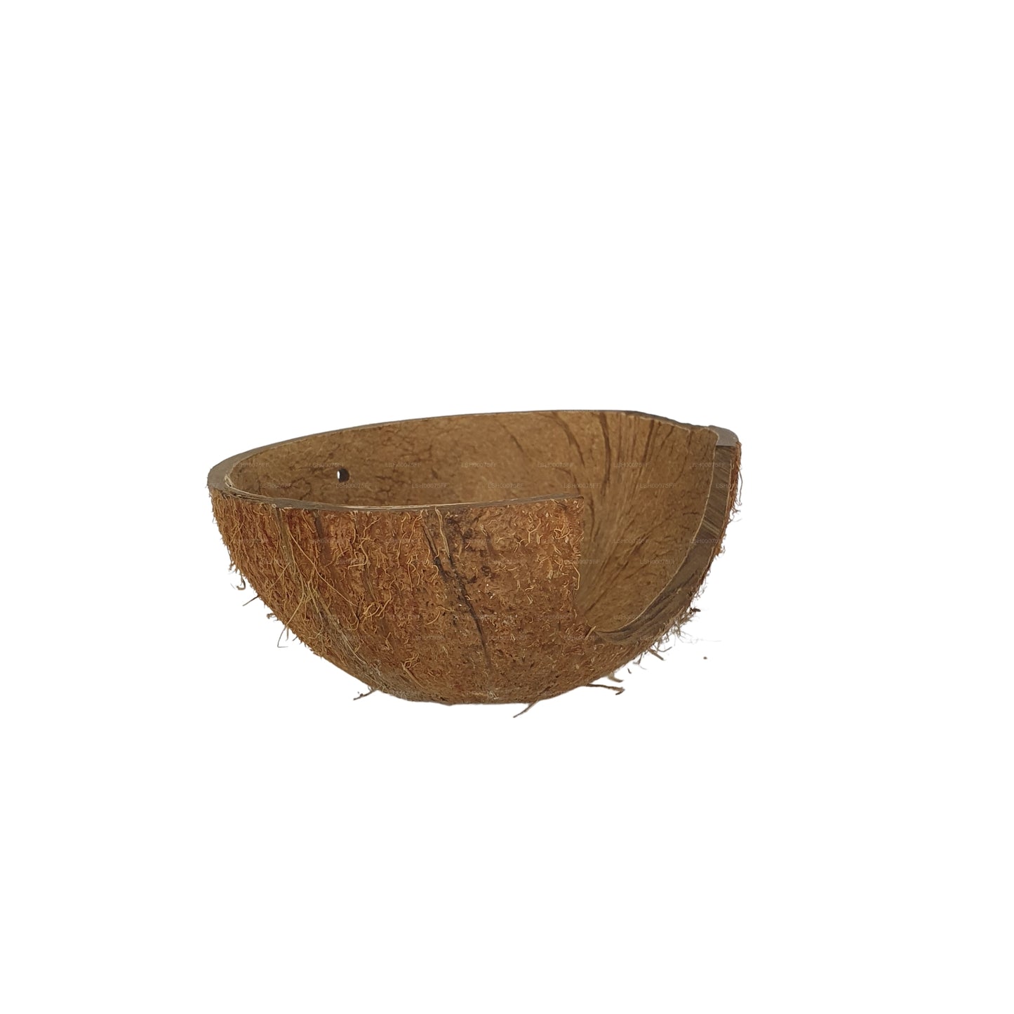 Bivenro Natural 1/2 椰壳洞穴（均码）
