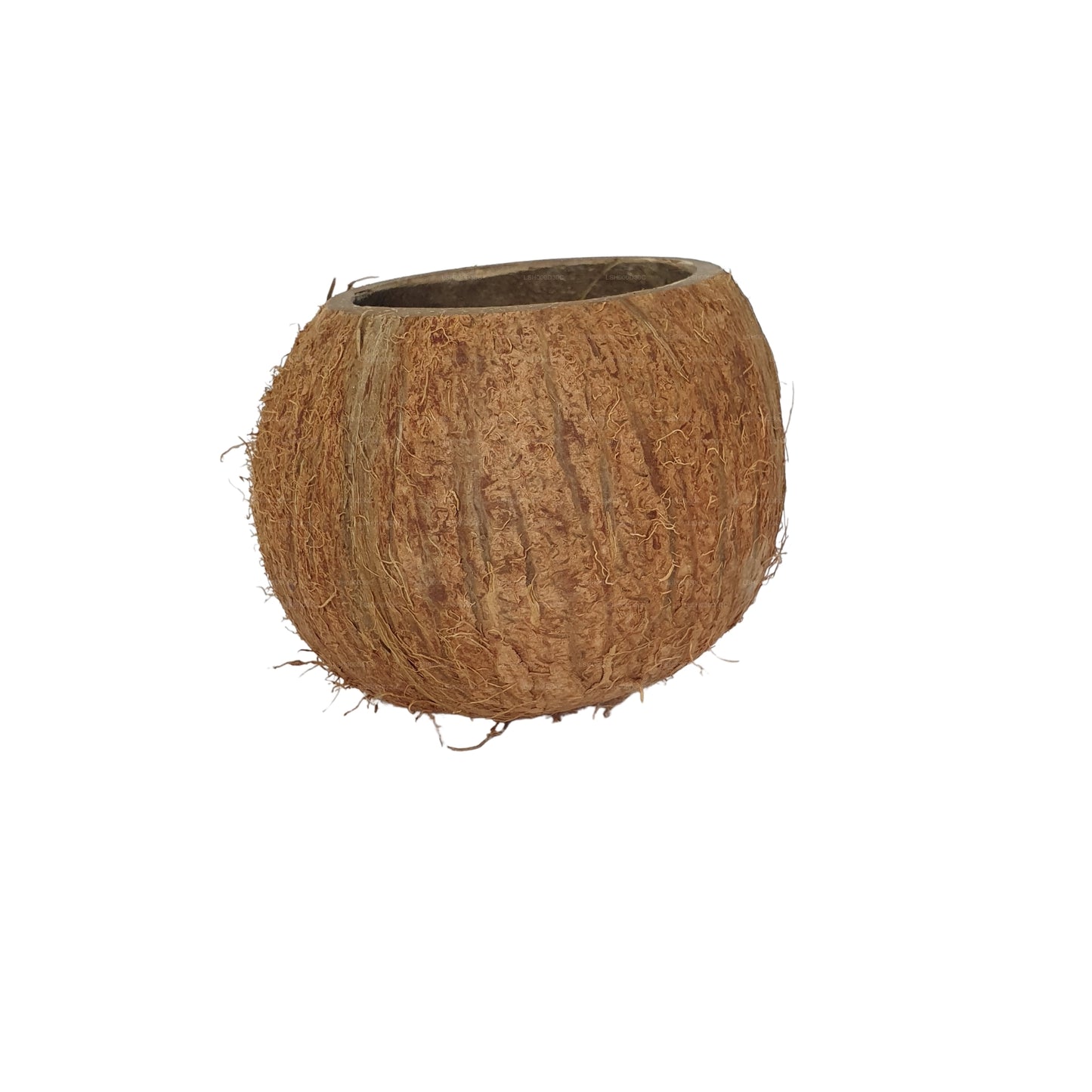 Bivenro Natural 3/4 椰壳洞穴（均码）