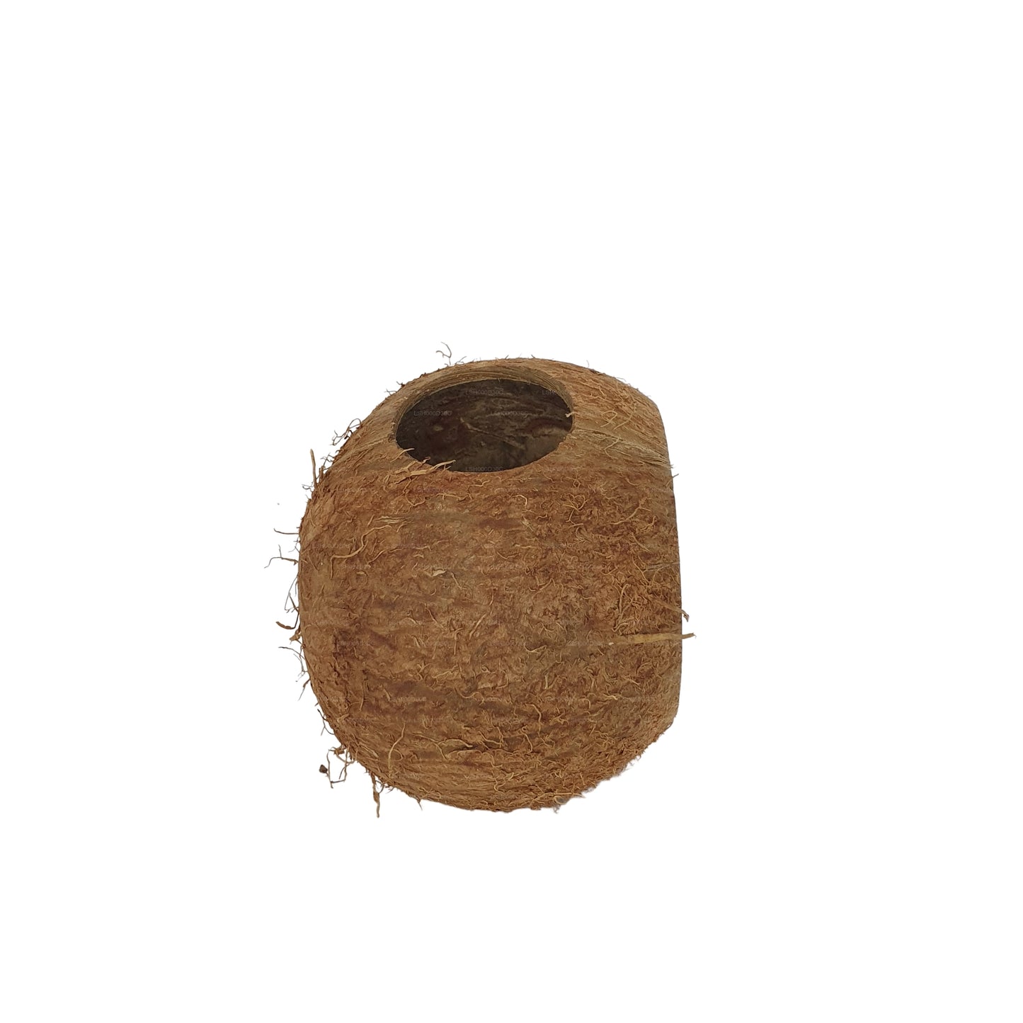 Bivenro Natural 3/4 椰壳洞穴（均码）