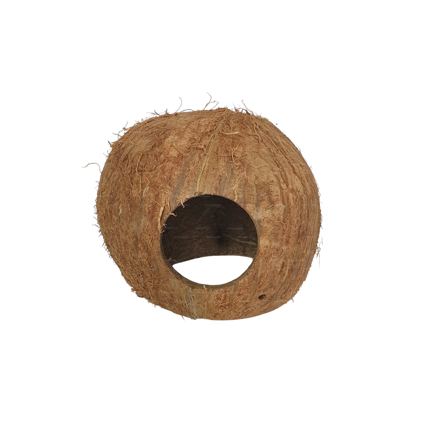 Bivenro Natural 3/4 椰壳洞穴（均码）