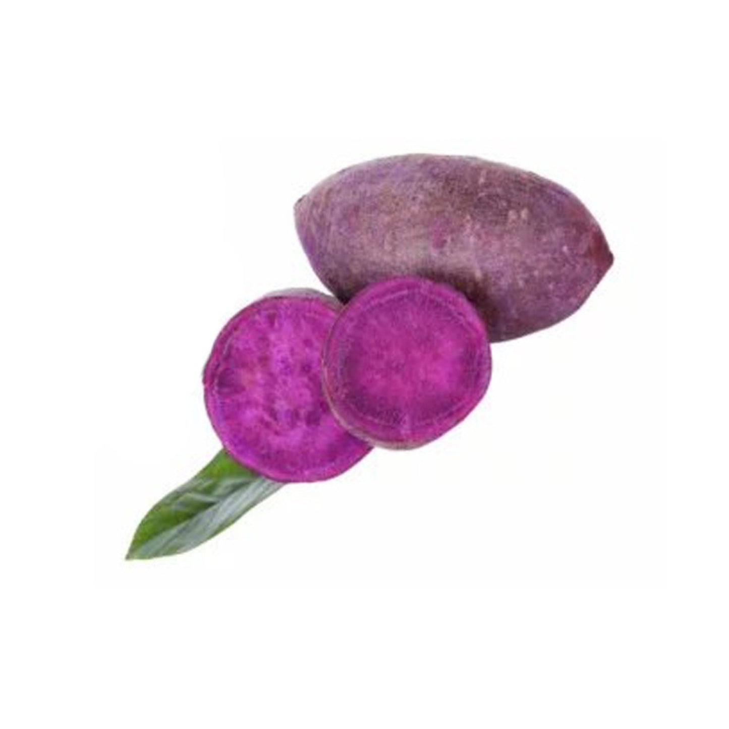 Lakpura紫甘薯植株