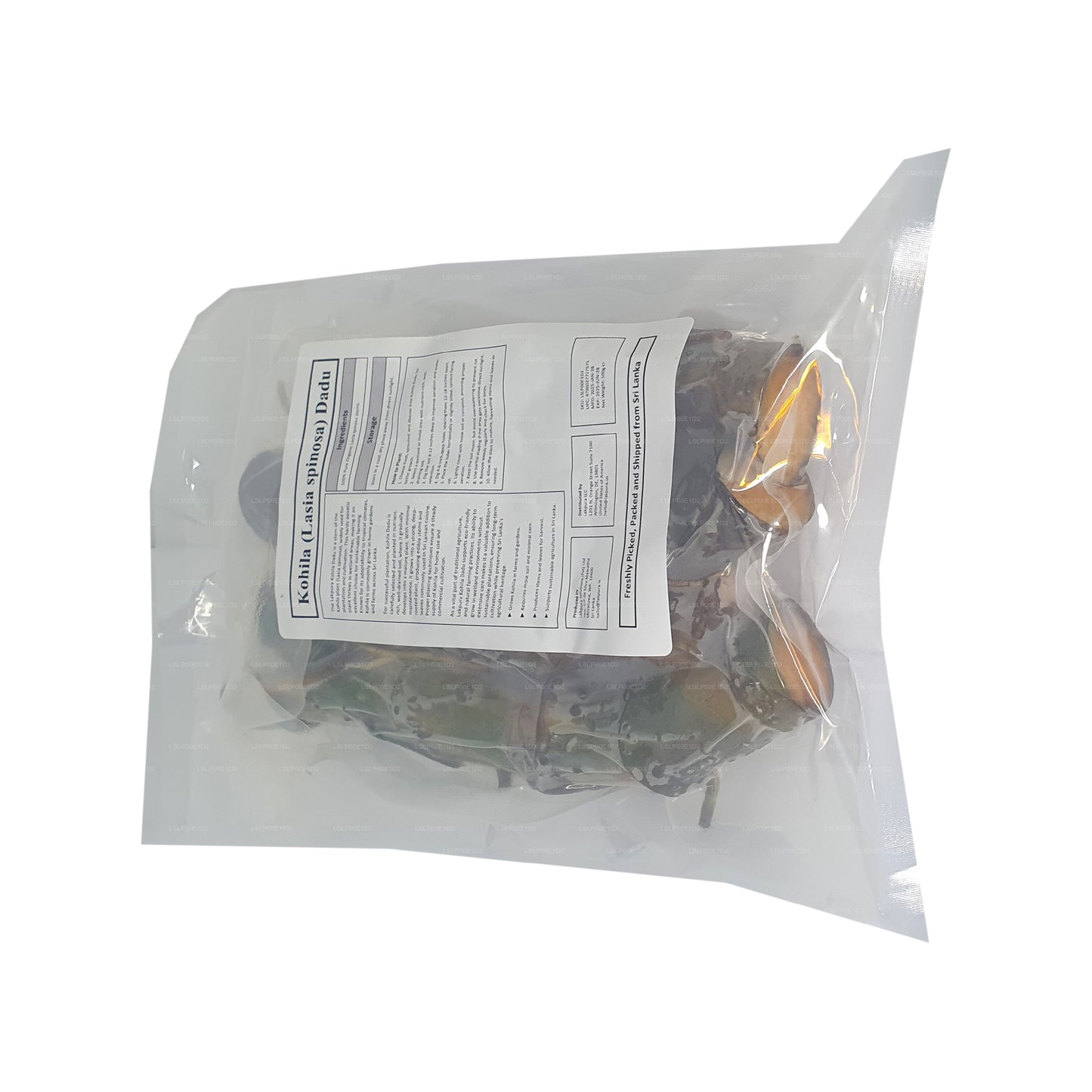 Lakpura® Kohila Dadu