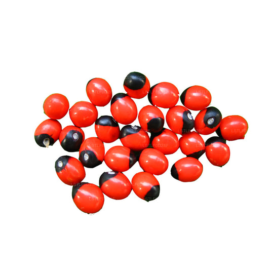 Lakpura® Olinda（摩洛哥阿布鲁斯）种子