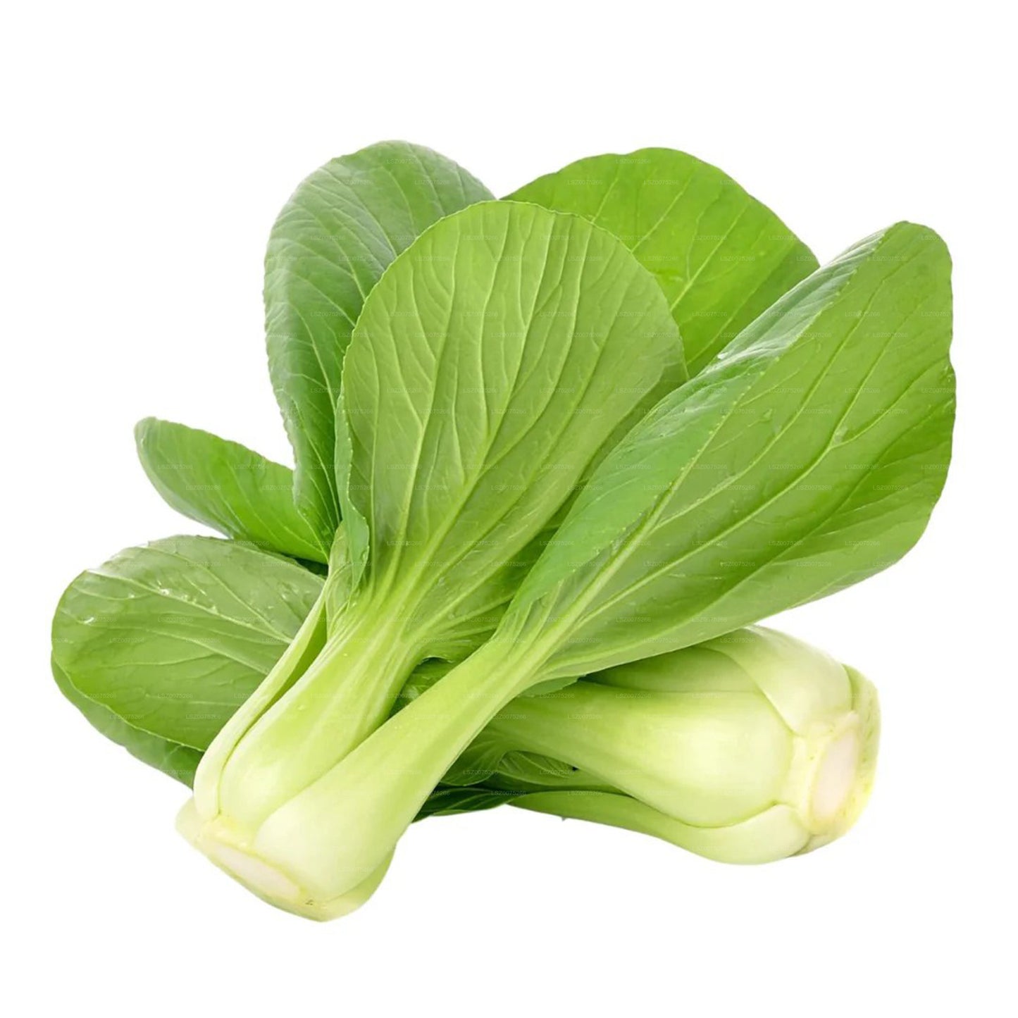 Lakpura® Pak Choi