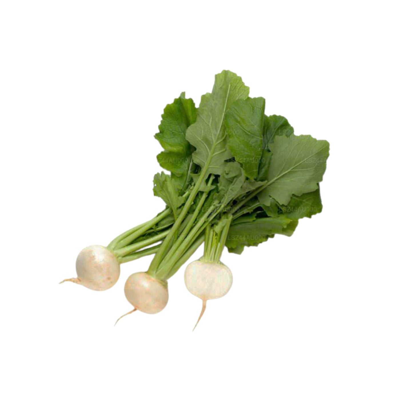 萝卜（萝卜）250g