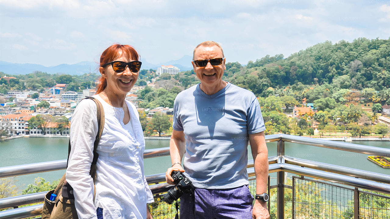 从科伦坡出发的山地文化（2 天）