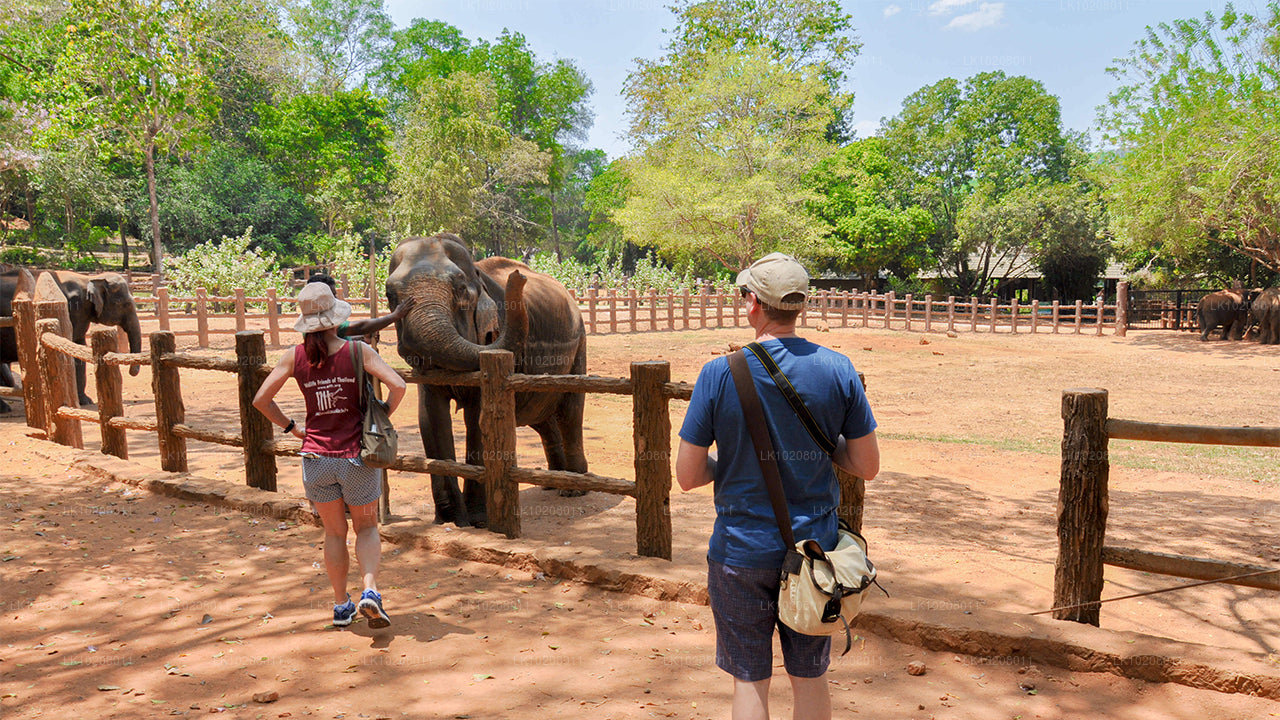 从科伦坡出发的山地文化（2 天）