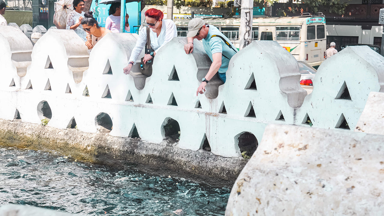 从科伦坡出发的山地文化（2 天）