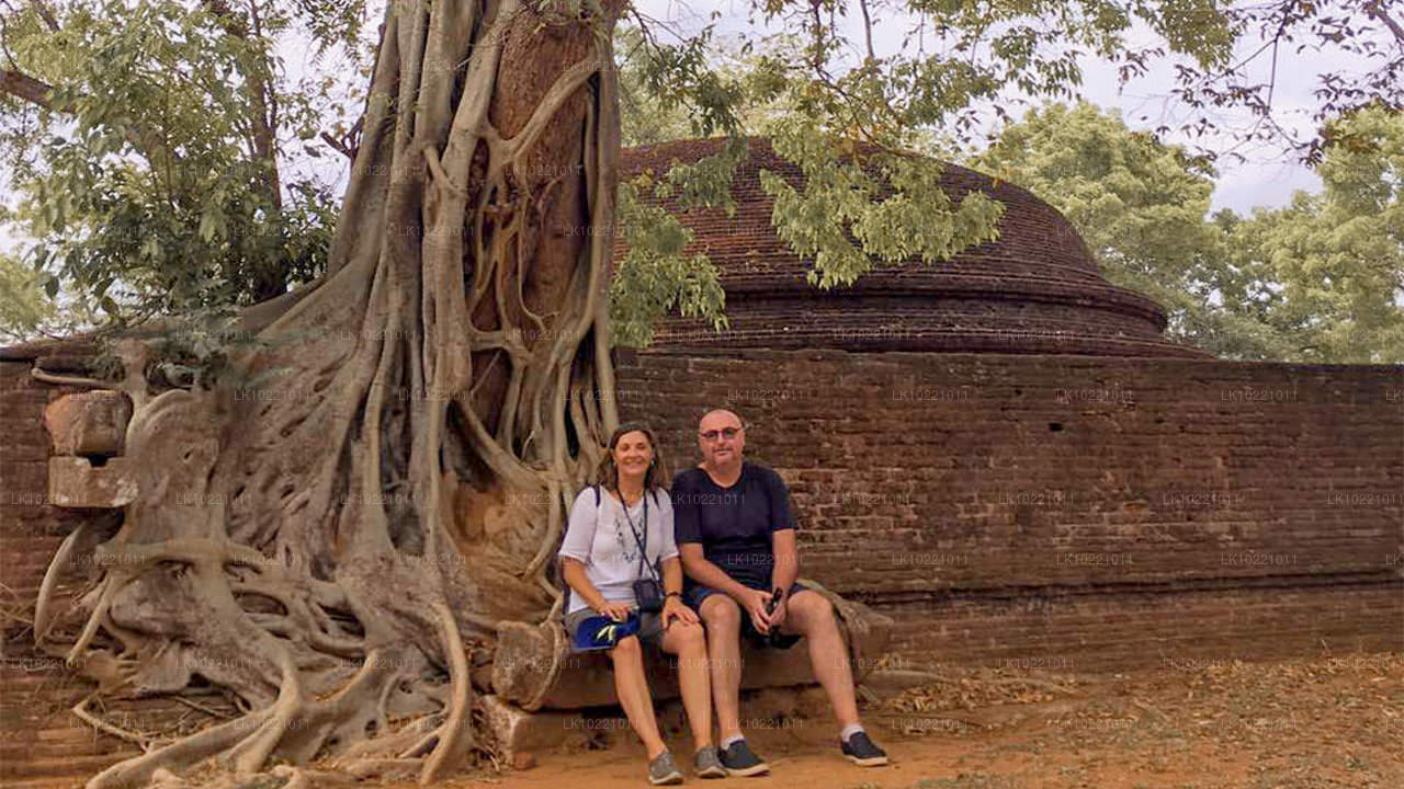 从康提出发的阿努拉德普勒（2 天）