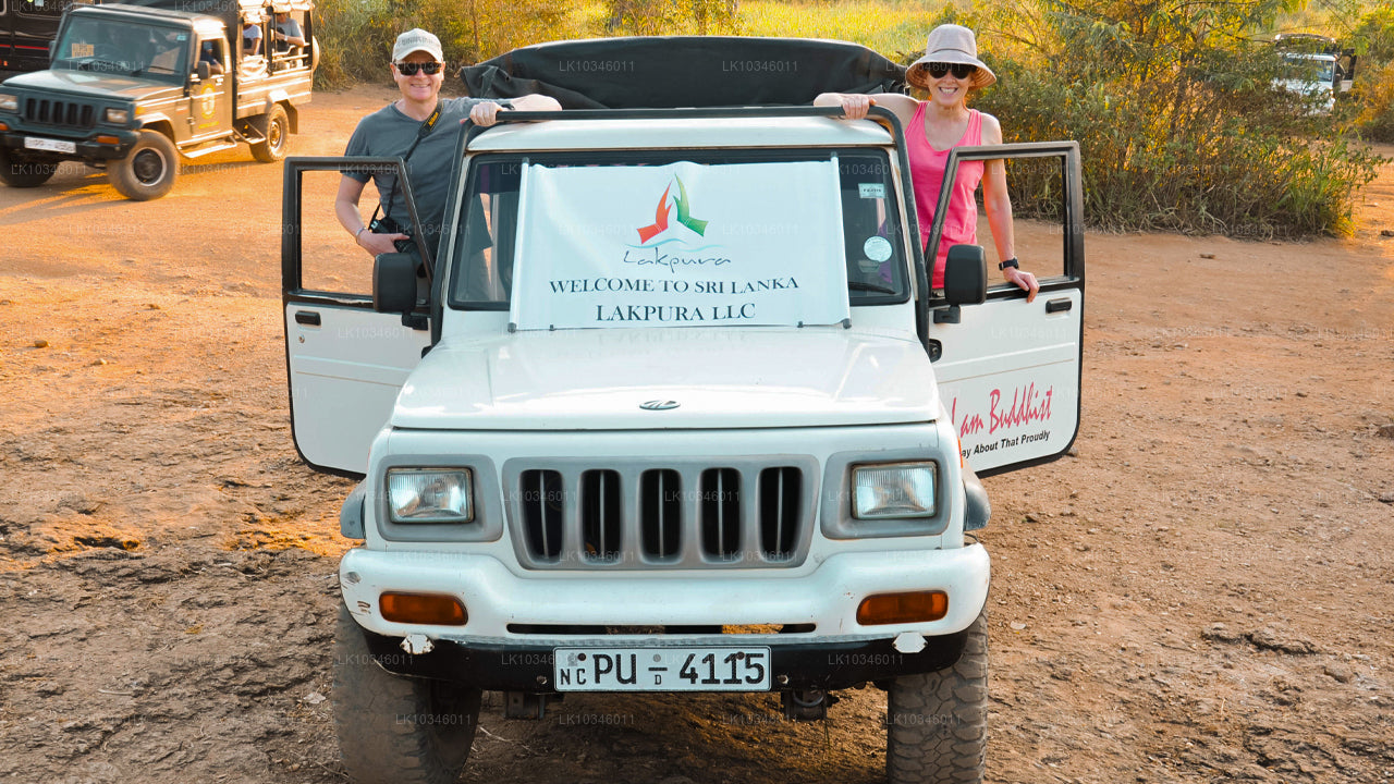 来自科伦坡的古锡兰故事（3 天）