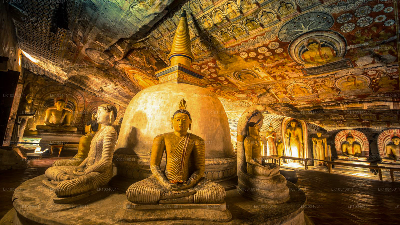 来自科伦坡的古锡兰故事（3 天）