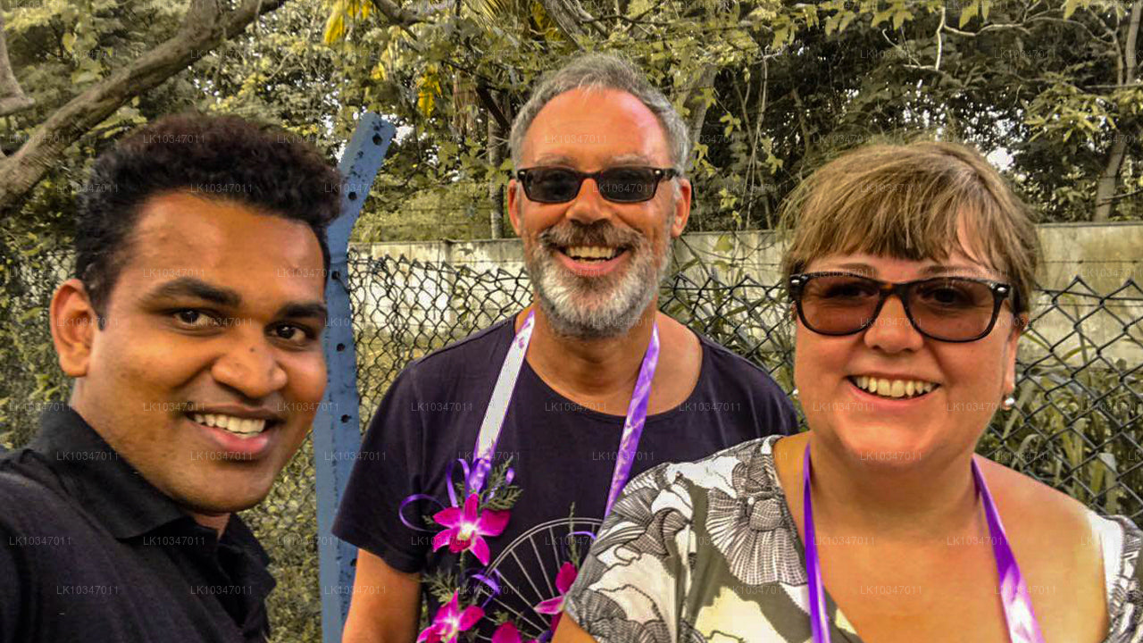 从科伦坡出发的阿努拉德普拉圣城（3 天）