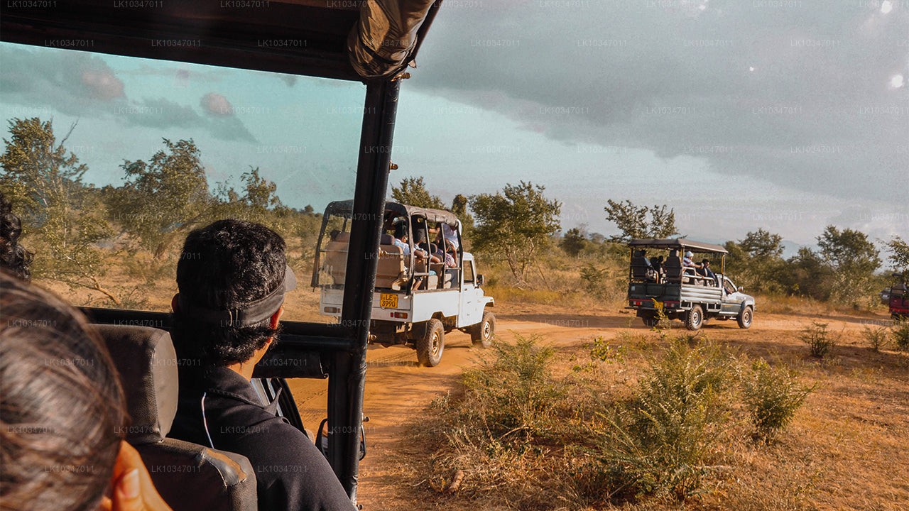 从科伦坡出发的阿努拉德普拉圣城（3 天）
