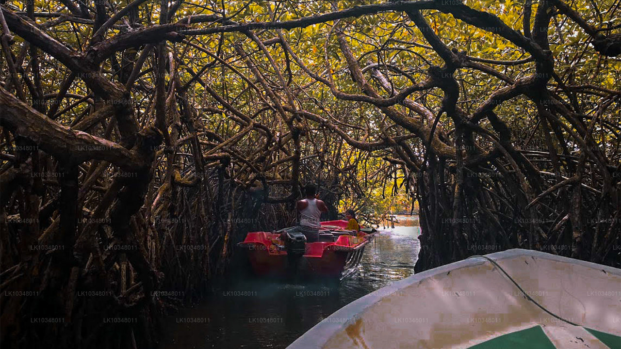 舒适的斯里兰卡（3 天）