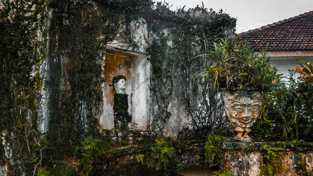 舒适的斯里兰卡（3 天）