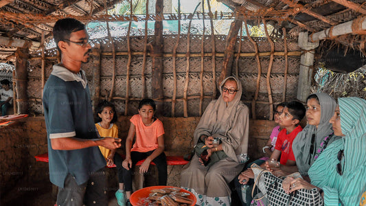 从科伦坡出发环游兰卡（4 天）