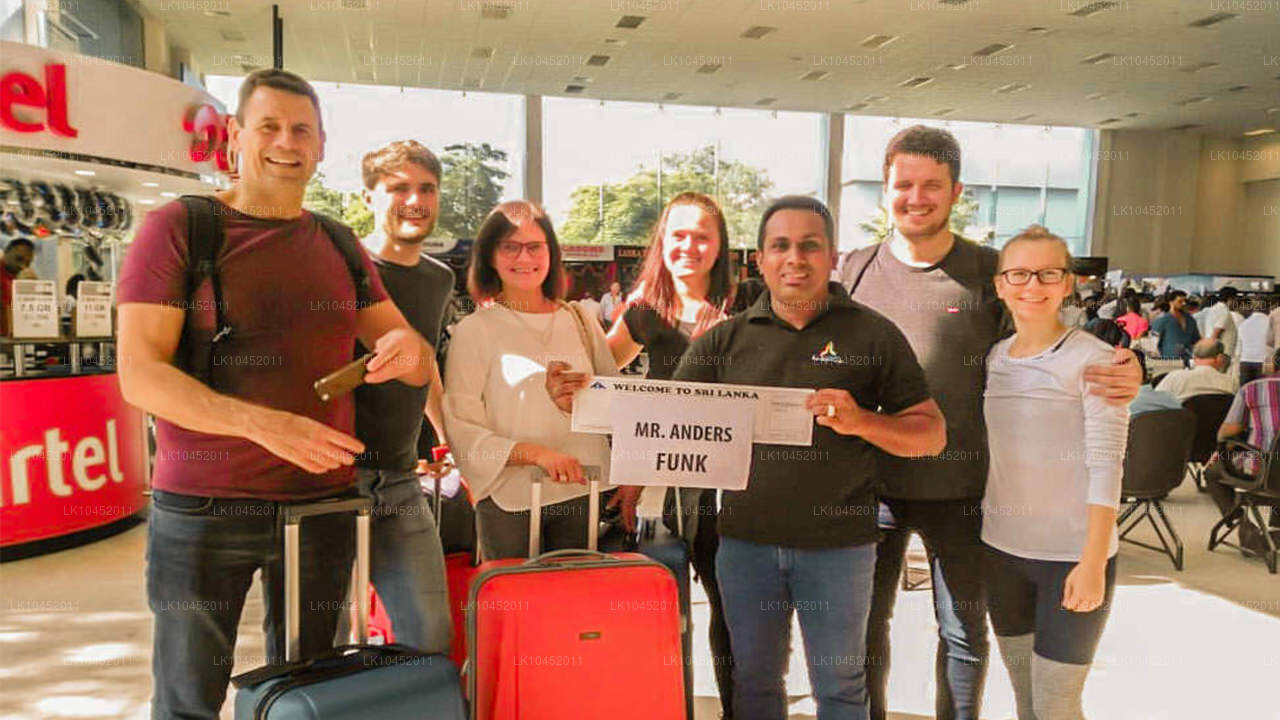 从城市化到大自然（4 天）