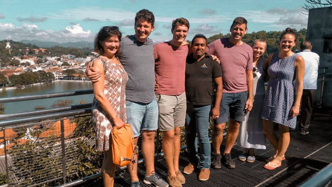 从城市化到大自然（4 天）