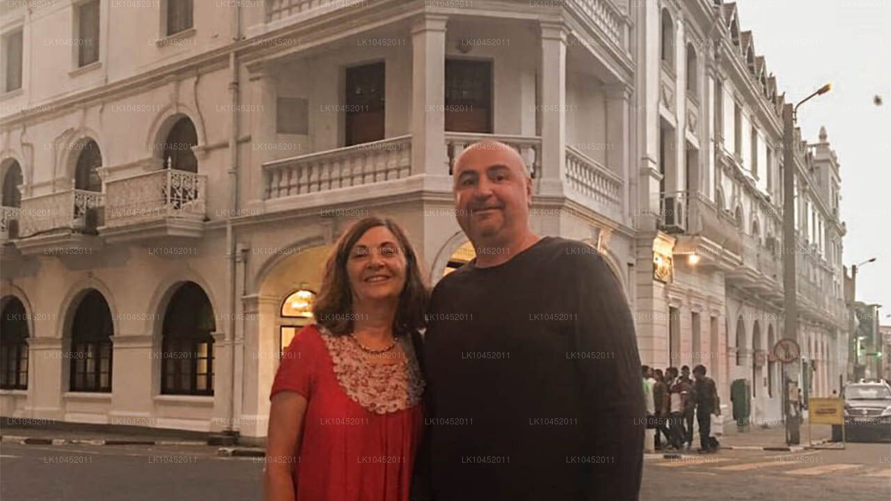 从城市化到大自然（4 天）