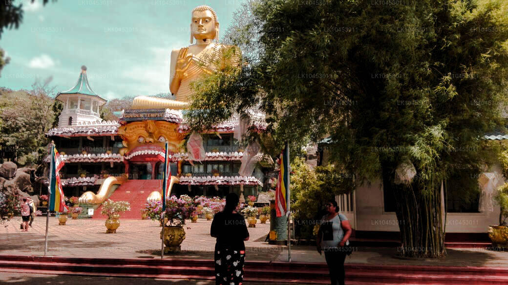 过去一瞥（4 天）