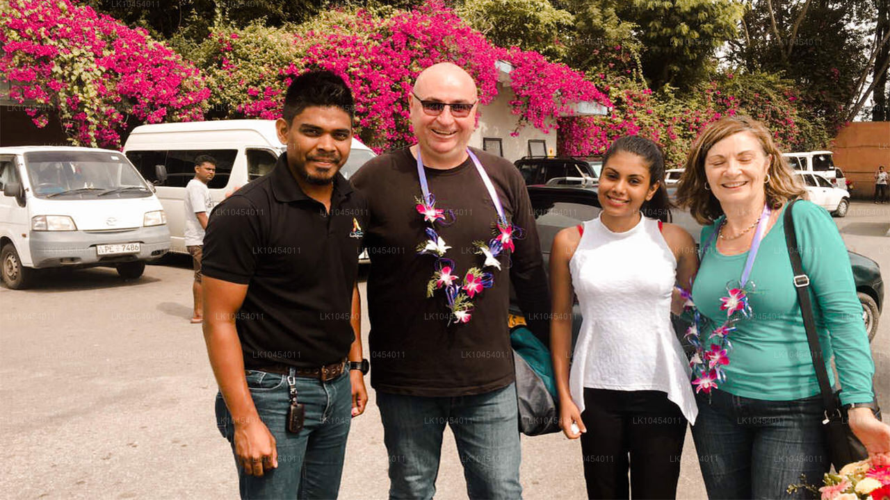 霍顿平原探险（4 天）