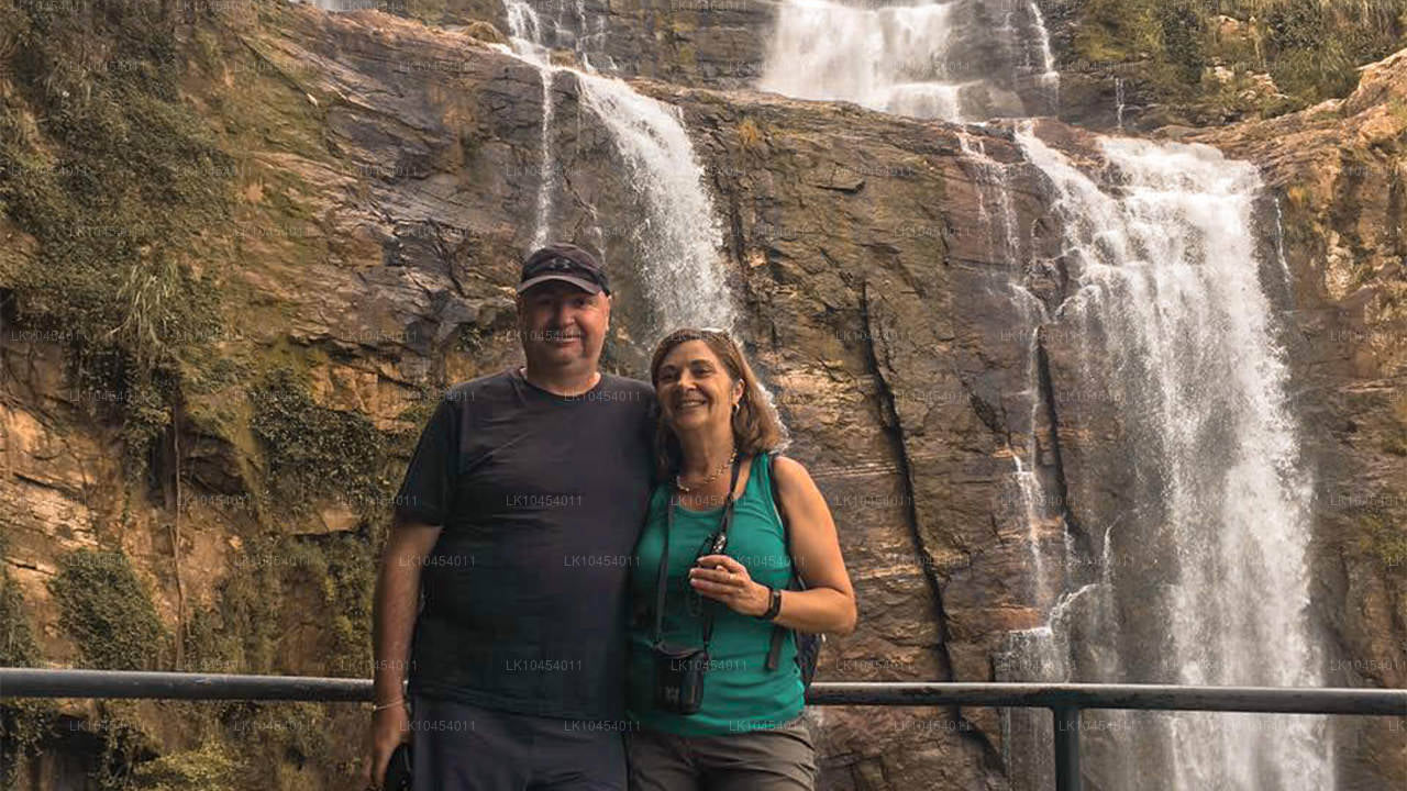 霍顿平原探险（4 天）