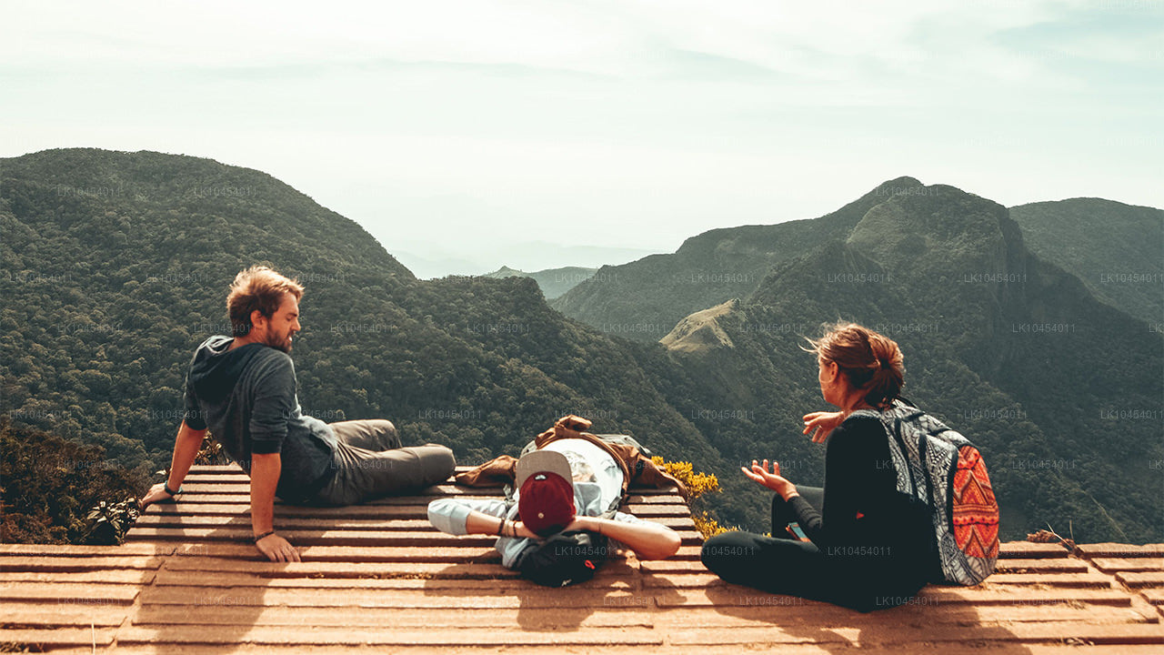 霍顿平原探险（4 天）