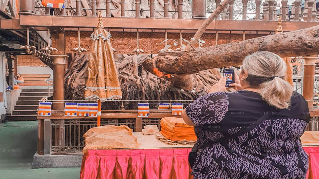 快速城市之旅（4 天）