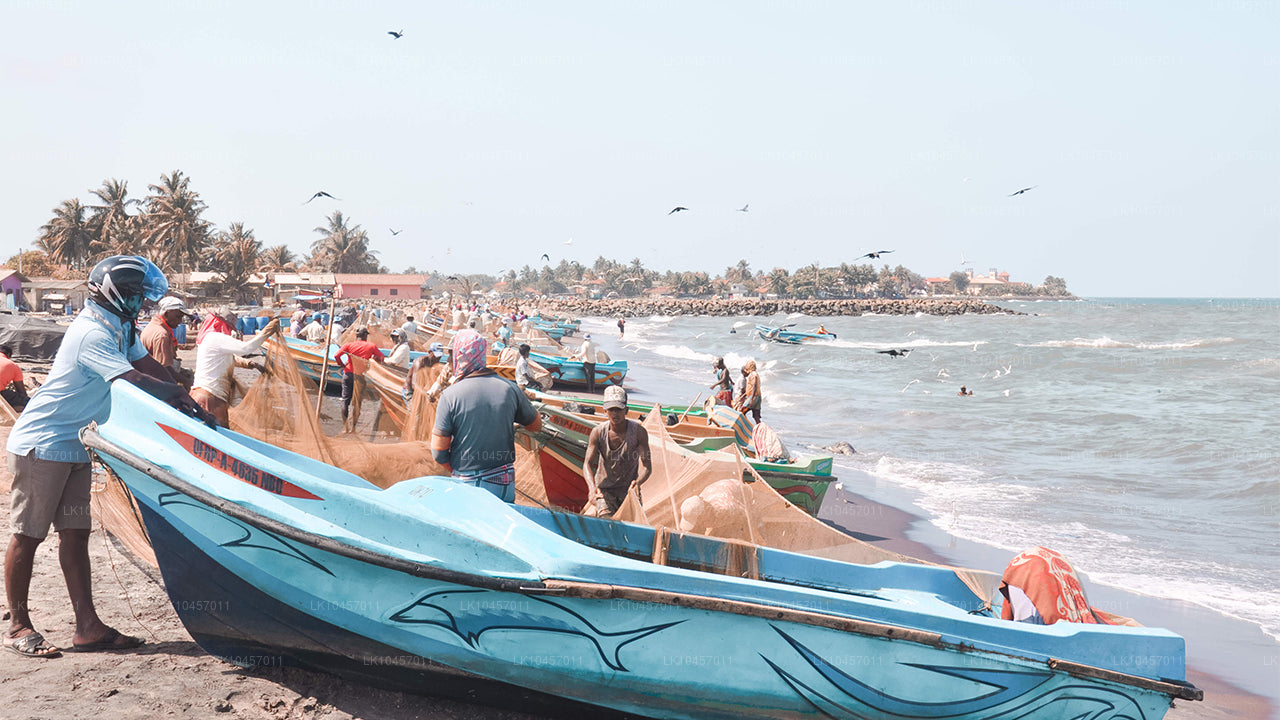 海滩与城市（4 天）